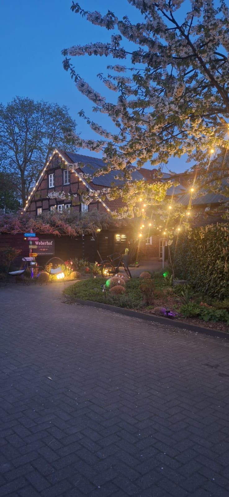 Der Weberhof in der blauen Stunde: Fachwerkhaus mit Lichterketten und blühendem Kirschbaum.