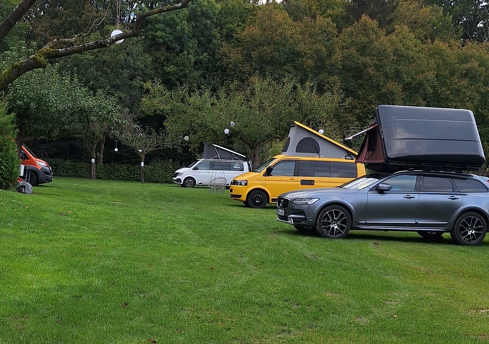 Mehrere Campervans und ein Dachzelt stehen im Herbstlicht auf der Wiese unter Obstbäumen.
